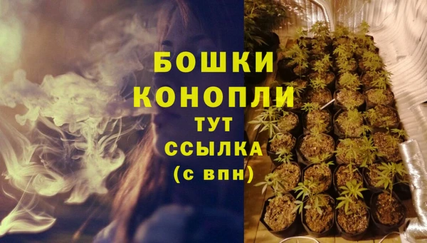 apvp Каменка