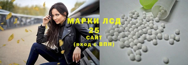 apvp Каменка