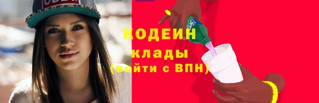 apvp Каменка