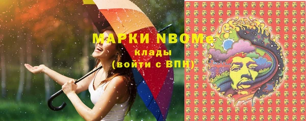 apvp Каменка