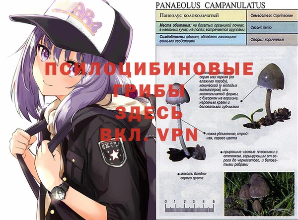 ешки Каменск-Шахтинский