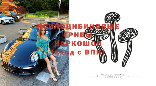 apvp Каменка