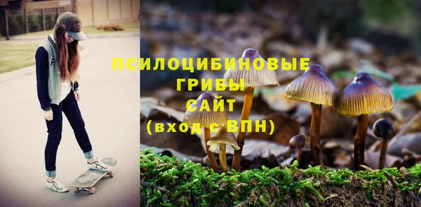 apvp Каменка