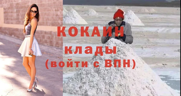apvp Каменка