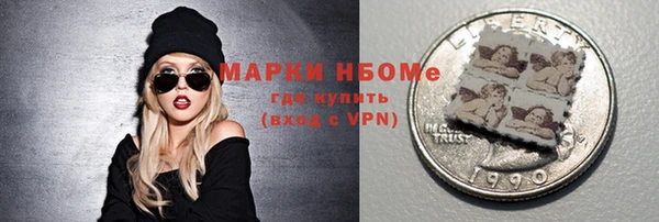 apvp Каменка